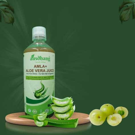 Ausdhang Amla Aloe Vera Juice