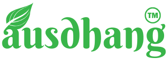 Ausdhang logo